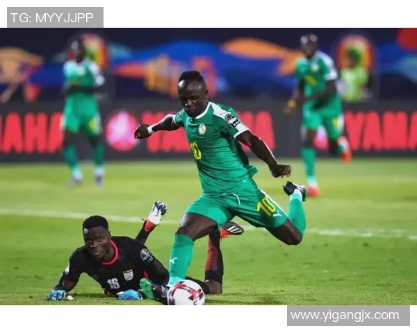 非洲足球明星在国际赛场上的辉煌成就与未来发展展望