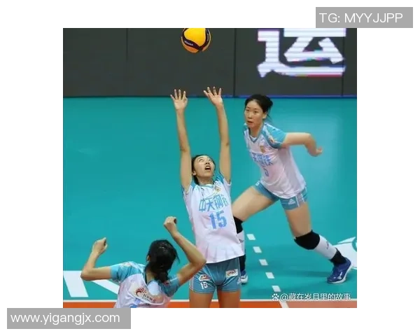 武汉排球队的奋斗历程与总决赛背后的成长故事揭秘